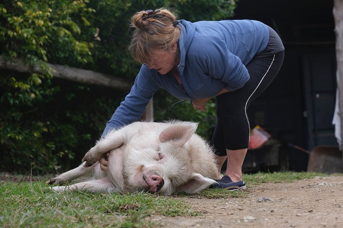 Barney and LH low res belly rub