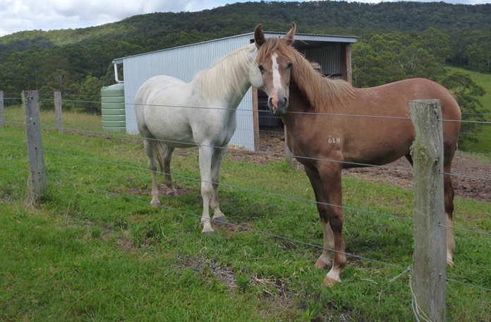 Button and Major