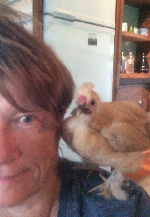 Henrietta