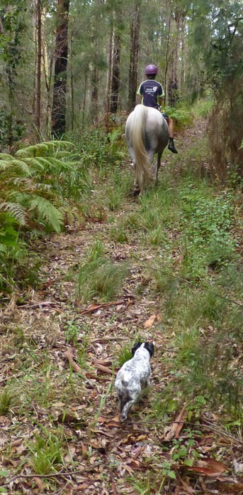 Kadeuphill
