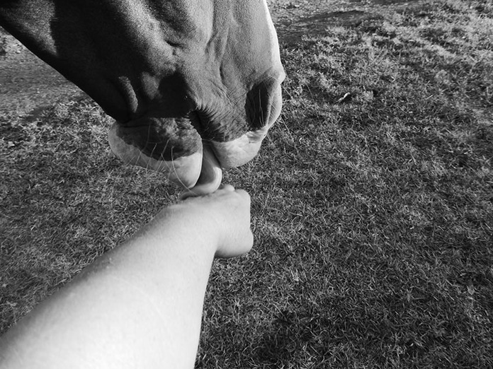 lickinghandsmall