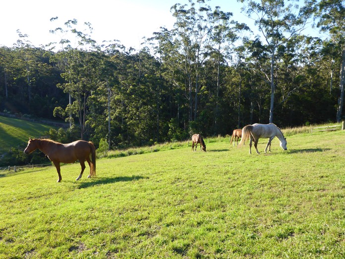 those not in the maternity ward