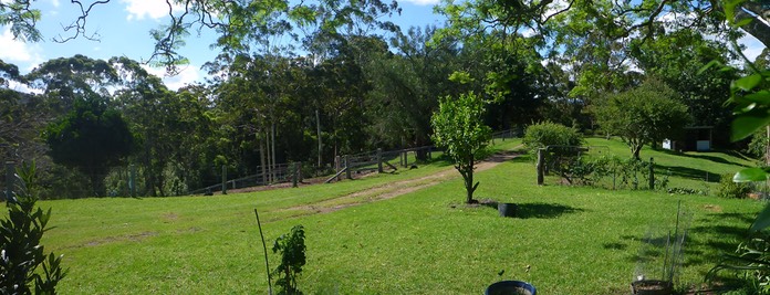 yard panarama